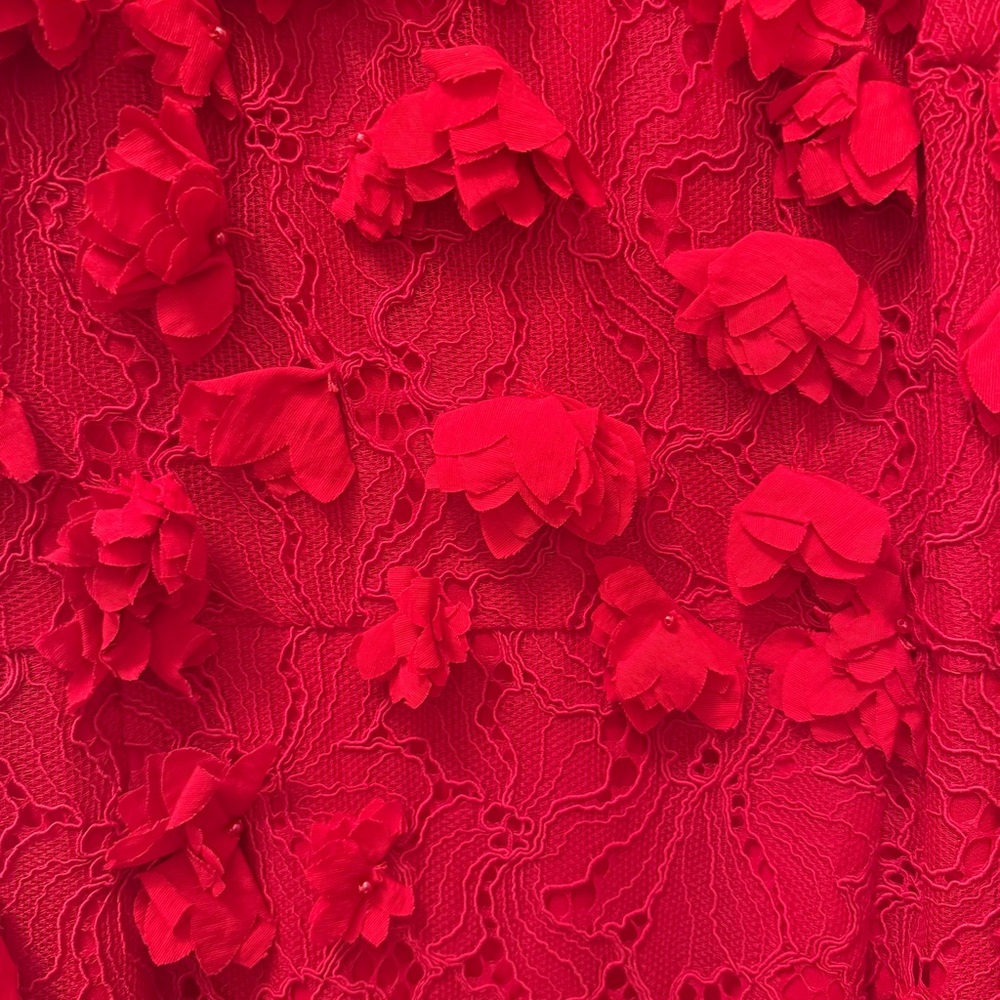 Red Floral Appliqué Lace Midi Dress – NWT – Size 8 - Picture 12 of 15